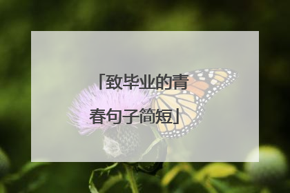 致毕业的青春句子简短