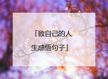 致自己的人生感悟句子