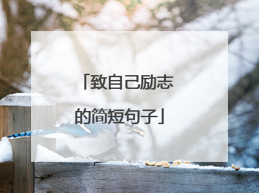 致自己励志的简短句子