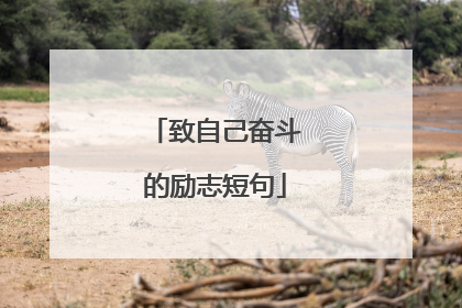 致自己奋斗的励志短句