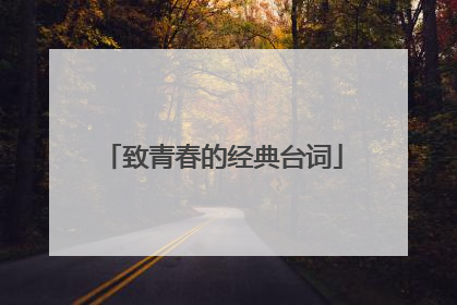 致青春的经典台词