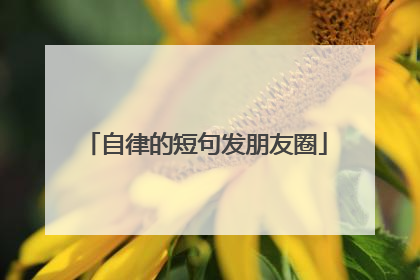 自律的短句发朋友圈