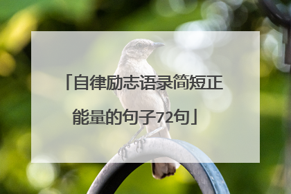 自律励志语录简短正能量的句子72句