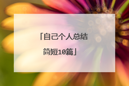 自己个人总结简短10篇