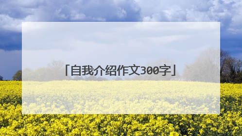 自我介绍作文300字