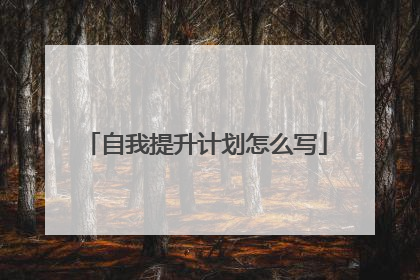 自我提升计划怎么写