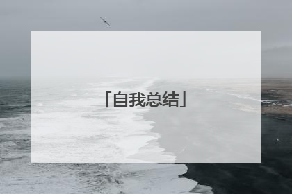 自我总结