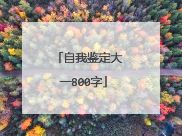 自我鉴定大一800字