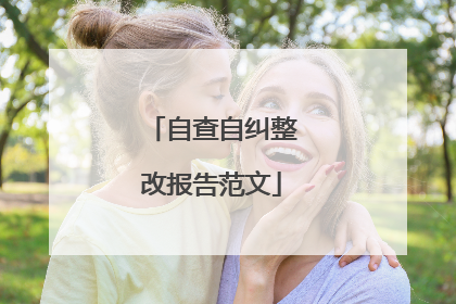 自查自纠整改报告范文