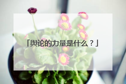 舆论的力量是什么？
