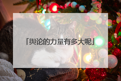 舆论的力量有多大呢