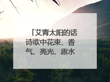 艾青太阳的话诗歌中花束、香气、亮光、露水、太阳代表的意义是什么？