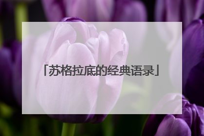 苏格拉底的经典语录