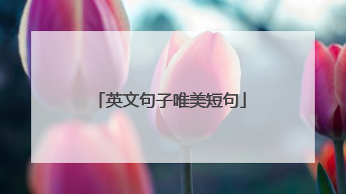 英文句子唯美短句