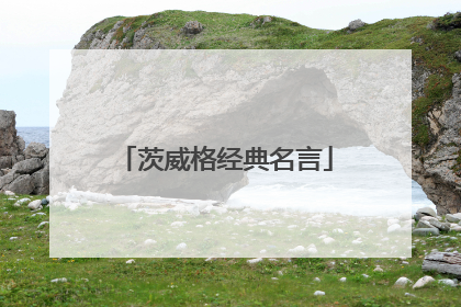 茨威格经典名言