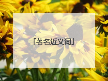 著名近义词