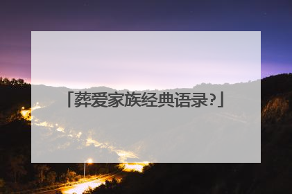 葬爱家族经典语录?