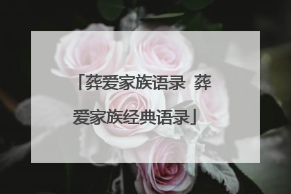 葬爱家族语录 葬爱家族经典语录