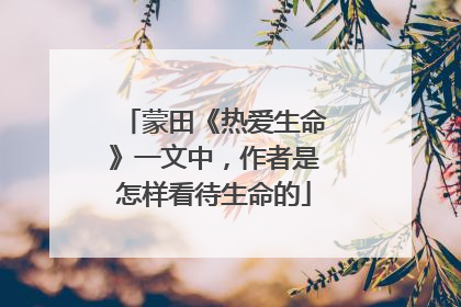 蒙田《热爱生命》一文中，作者是怎样看待生命的