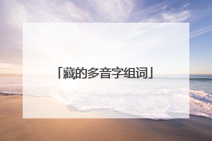 藏的多音字组词