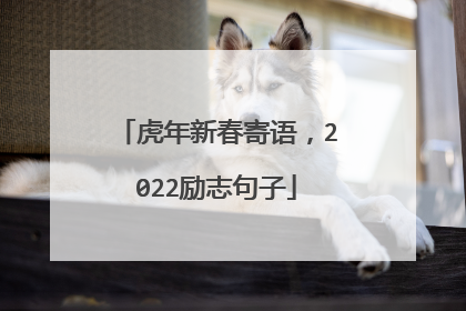 虎年新春寄语，2022励志句子