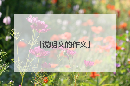 说明文的作文
