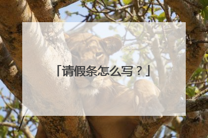 请假条怎么写？