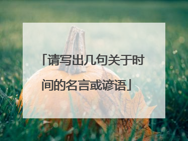 请写出几句关于时间的名言或谚语