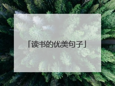 读书的优美句子