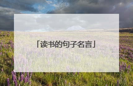 读书的句子名言