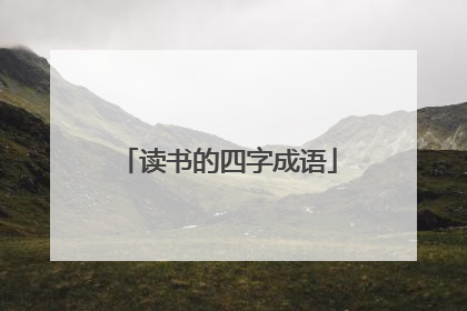 读书的四字成语