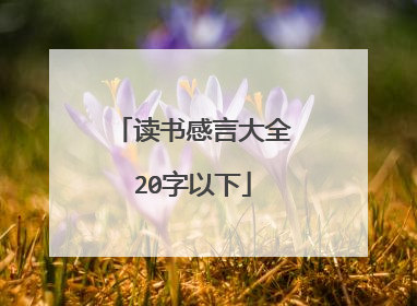 读书感言大全20字以下