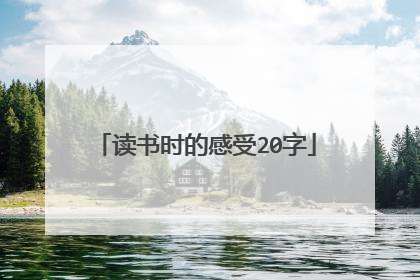 读书时的感受20字