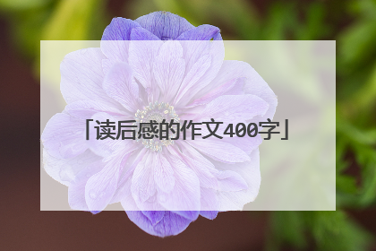读后感的作文400字