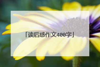读后感作文400字