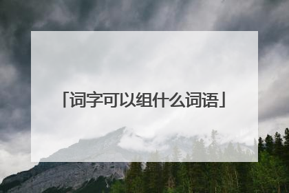 词字可以组什么词语