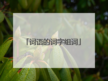 词语的词字组词