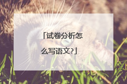 试卷分析怎么写语文?