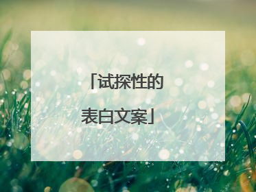 试探性的表白文案