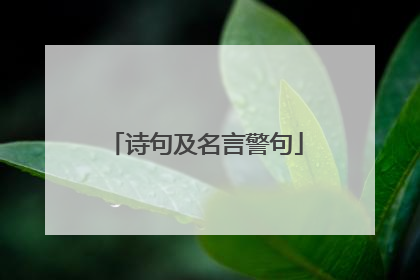 诗句及名言警句