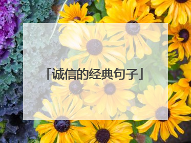 诚信的经典句子