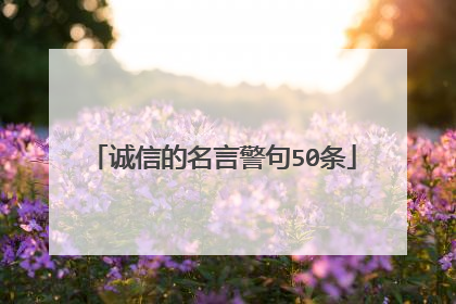 诚信的名言警句50条