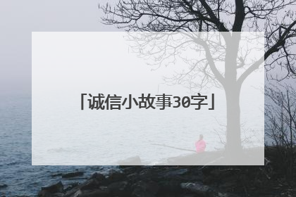 诚信小故事30字