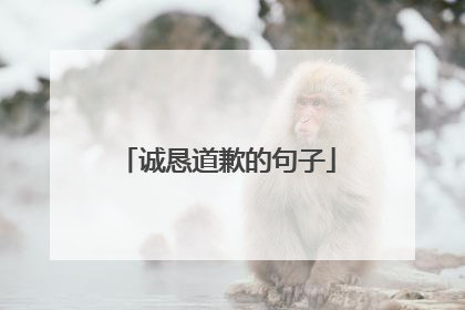 诚恳道歉的句子