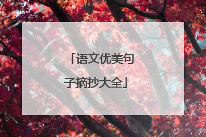 语文优美句子摘抄大全