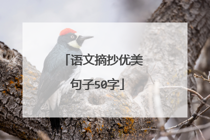 语文摘抄优美句子50字