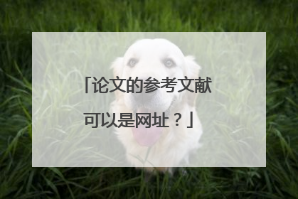 论文的参考文献可以是网址？