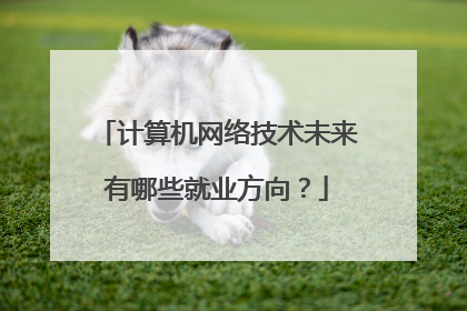 计算机网络技术未来有哪些就业方向？