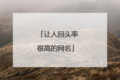 让人回头率很高的网名