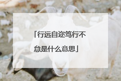 行远自迩笃行不怠是什么意思